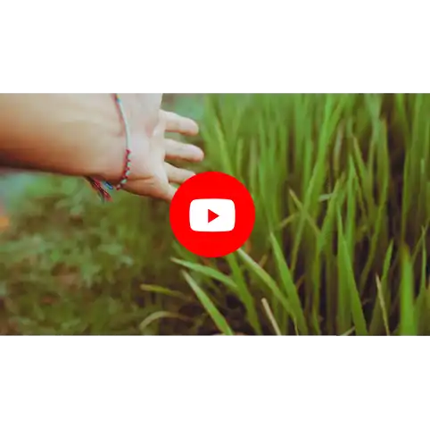 動画制作