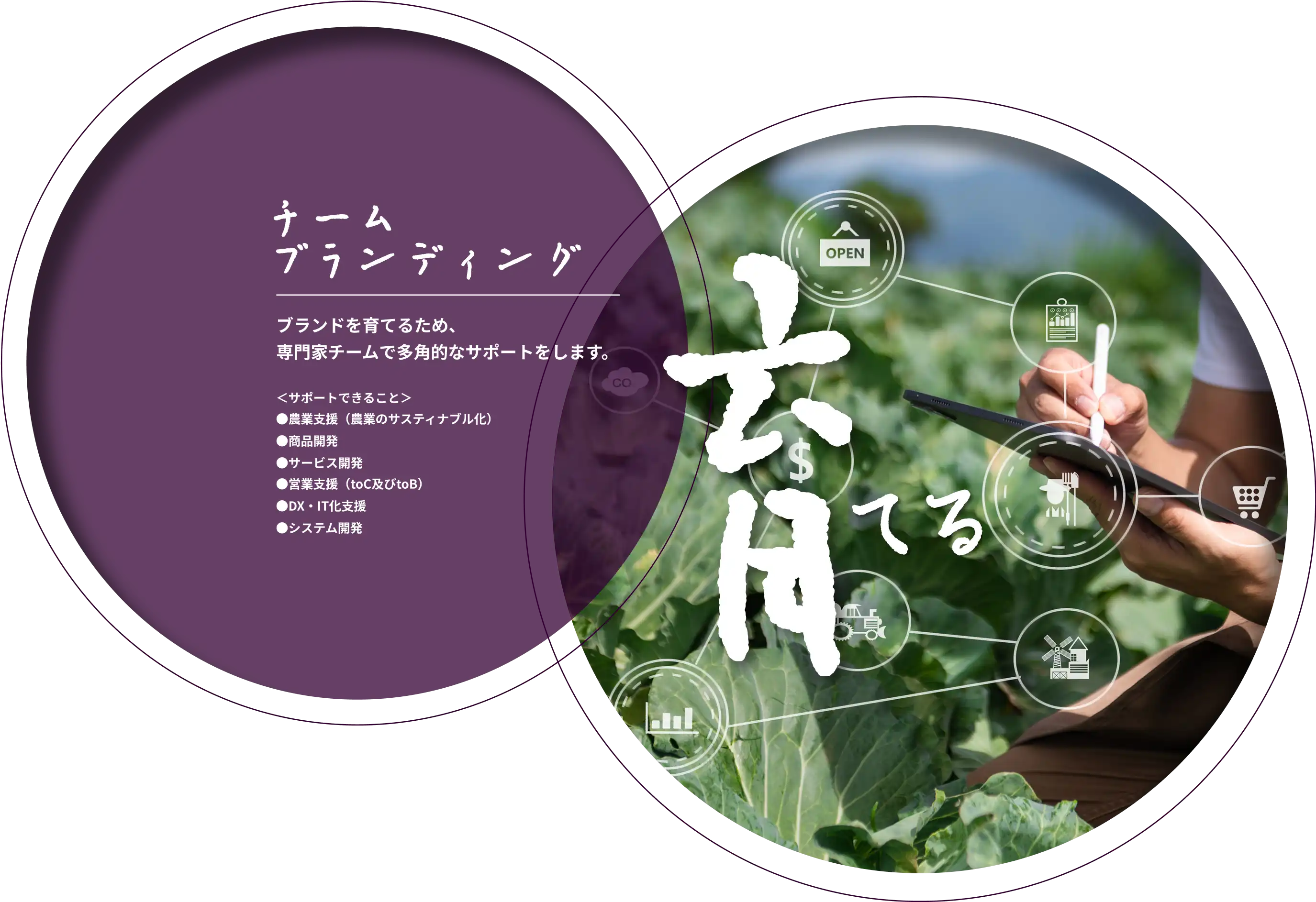 育てる